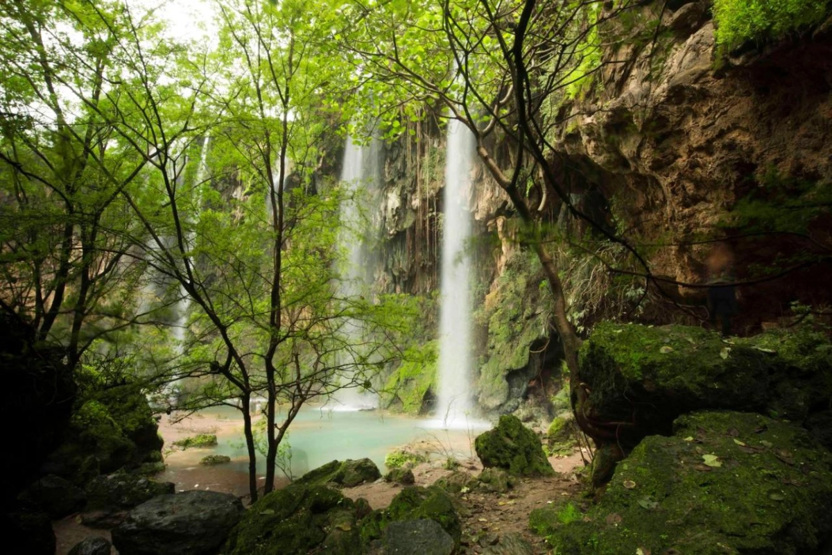 Al Baleed Resort Salalah By Anantara - Hotel Photo 42