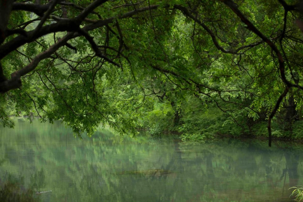 Al Baleed Resort Salalah By Anantara - Hotel Photo 57