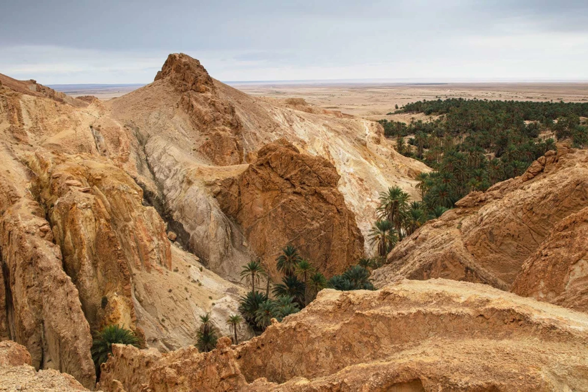 Anantara Sahara Tozeur Resort & Villas - Hotel Photo 6