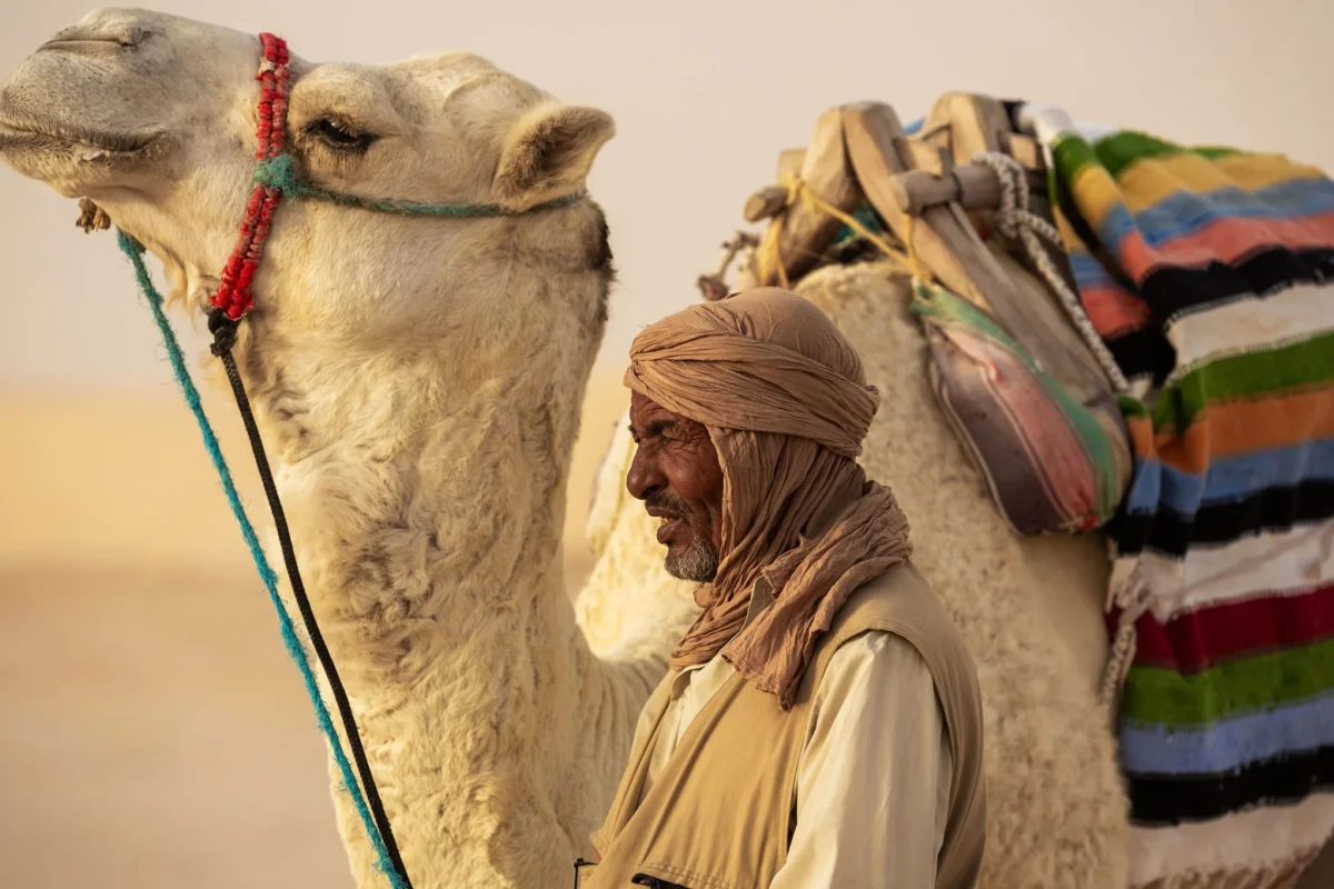 Anantara Sahara Tozeur Resort & Villas - Hotel Photo 7