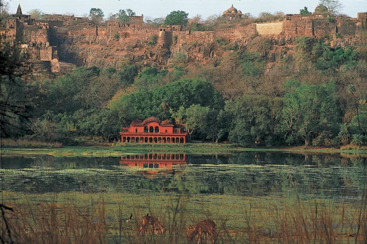 The Oberoi Vanyavilas Wildlife Resort - Hotel Photo 21