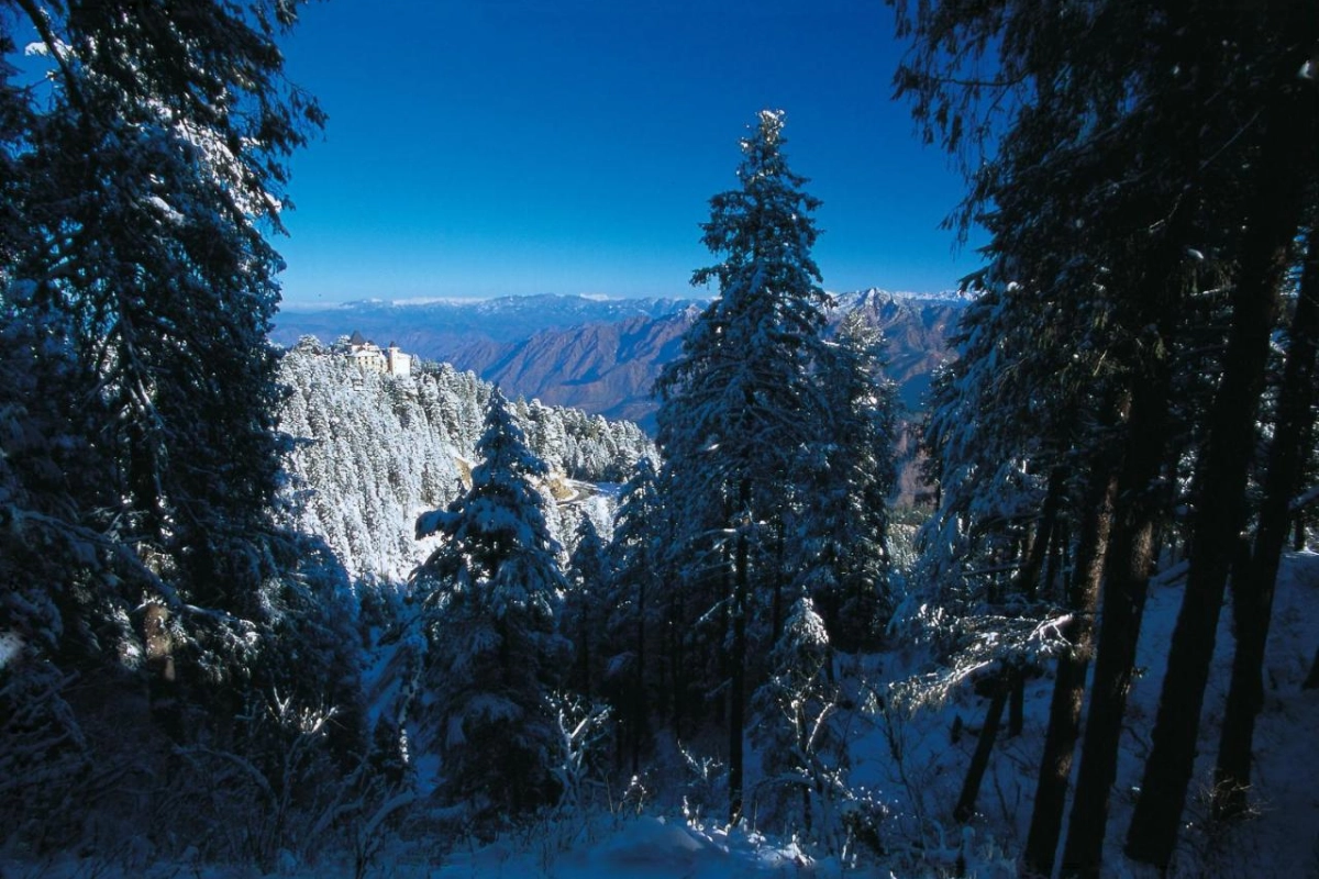 Wildflower Hall An Oberoi Resort Shimla - Hotel Photo 3