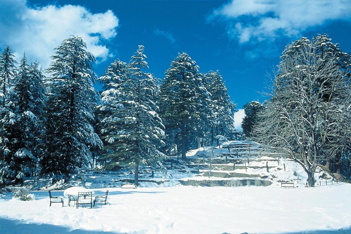 Wildflower Hall An Oberoi Resort Shimla - Hotel Photo 13