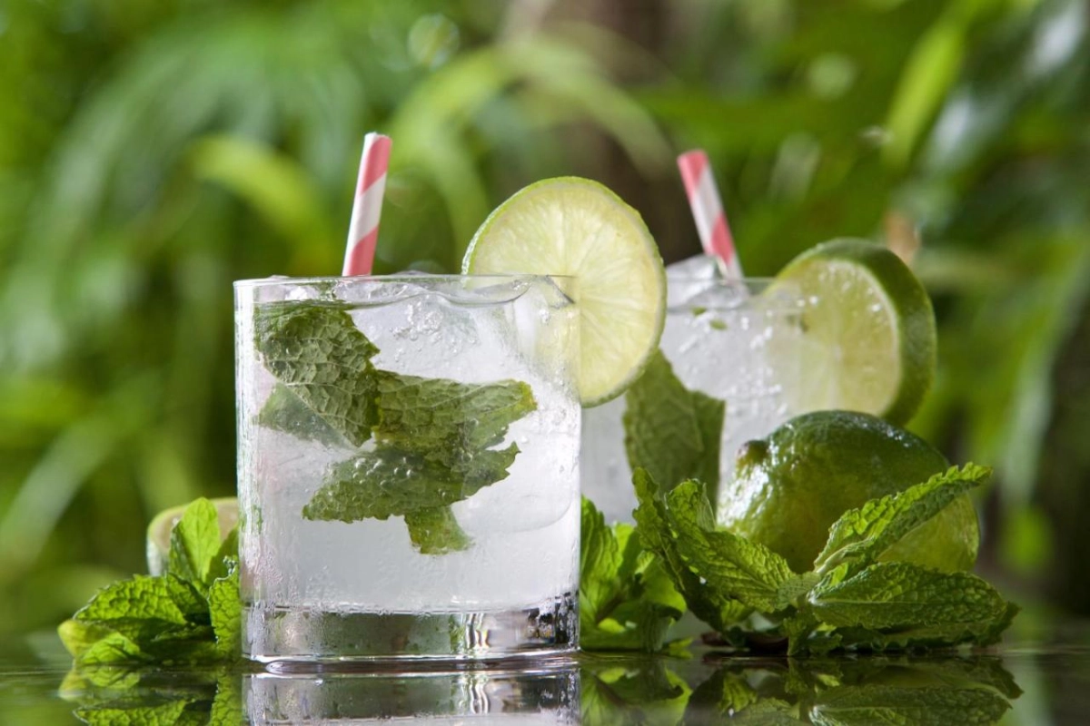 Cobblers Cove - Hotel Photo 9