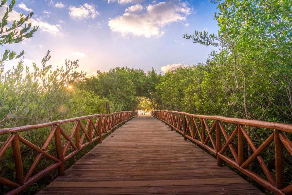 Platinum Yucatan Princess - Hotel Photo 22