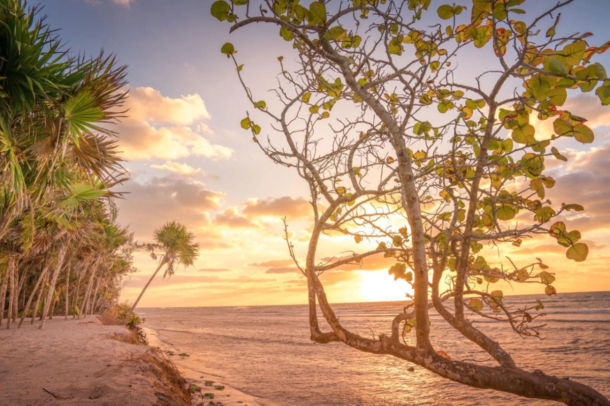 Platinum Yucatan Princess - Hotel Photo 24