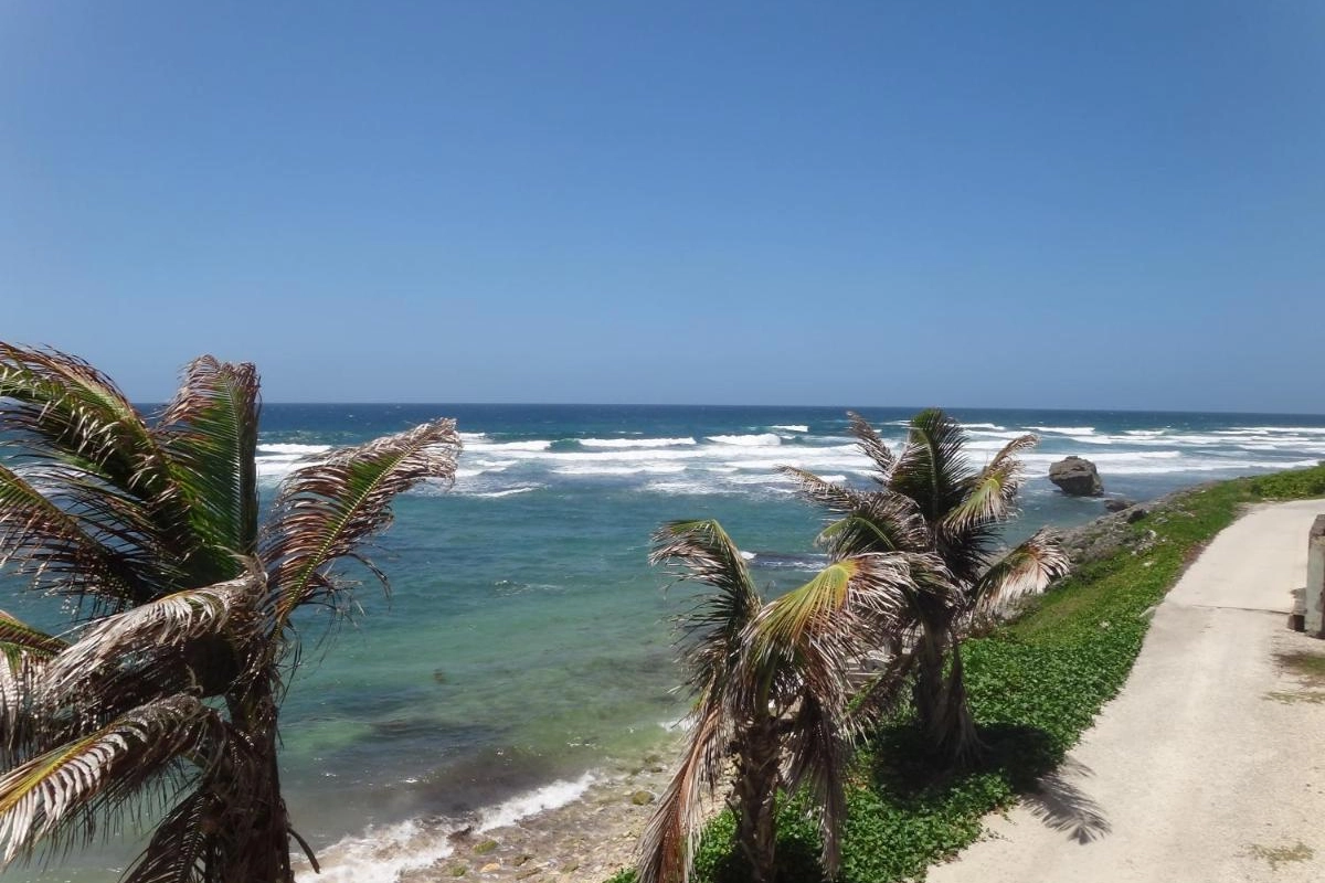 The Atlantis Historic Inn - Hotel Photo 18