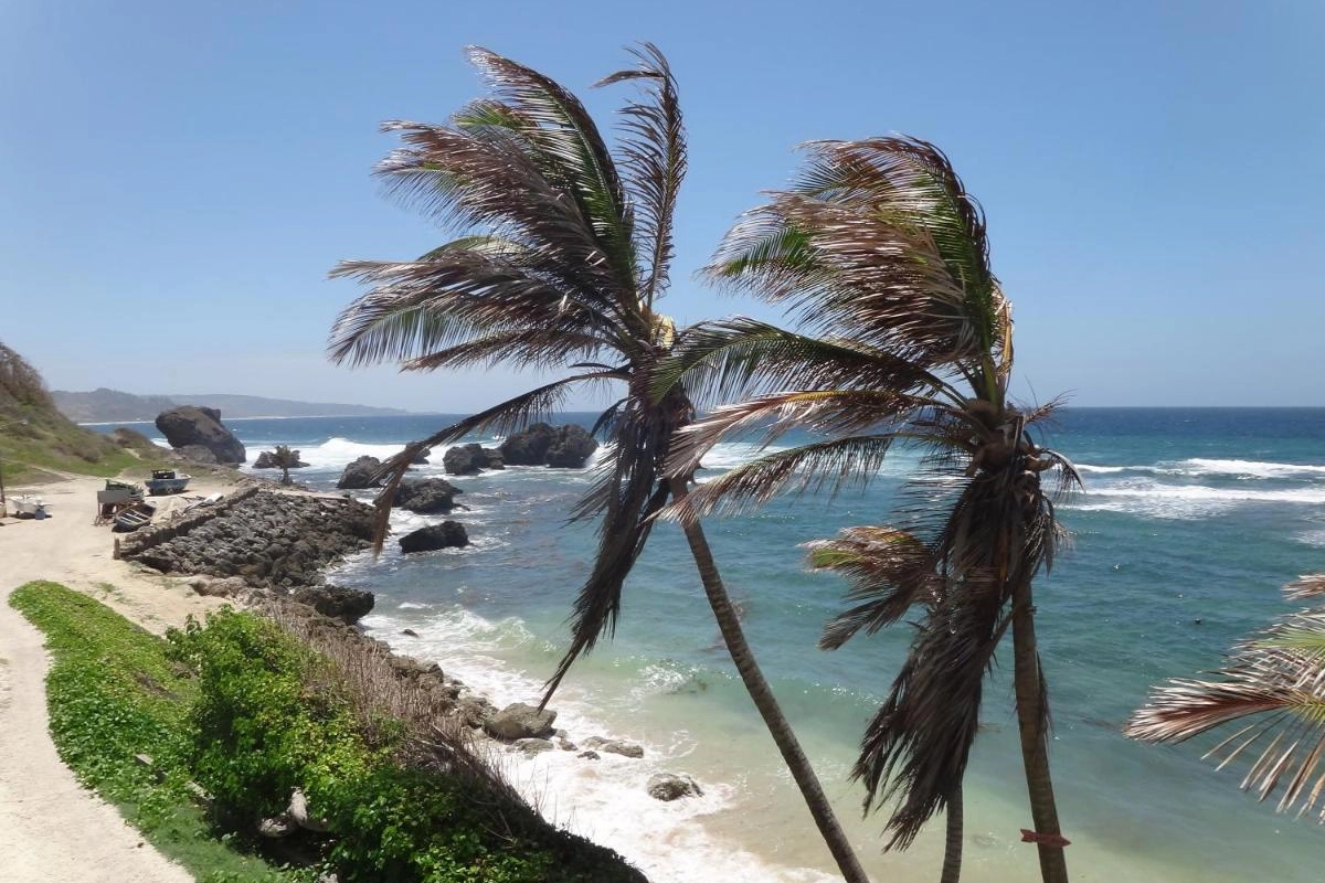 The Atlantis Historic Inn - Hotel Photo 19