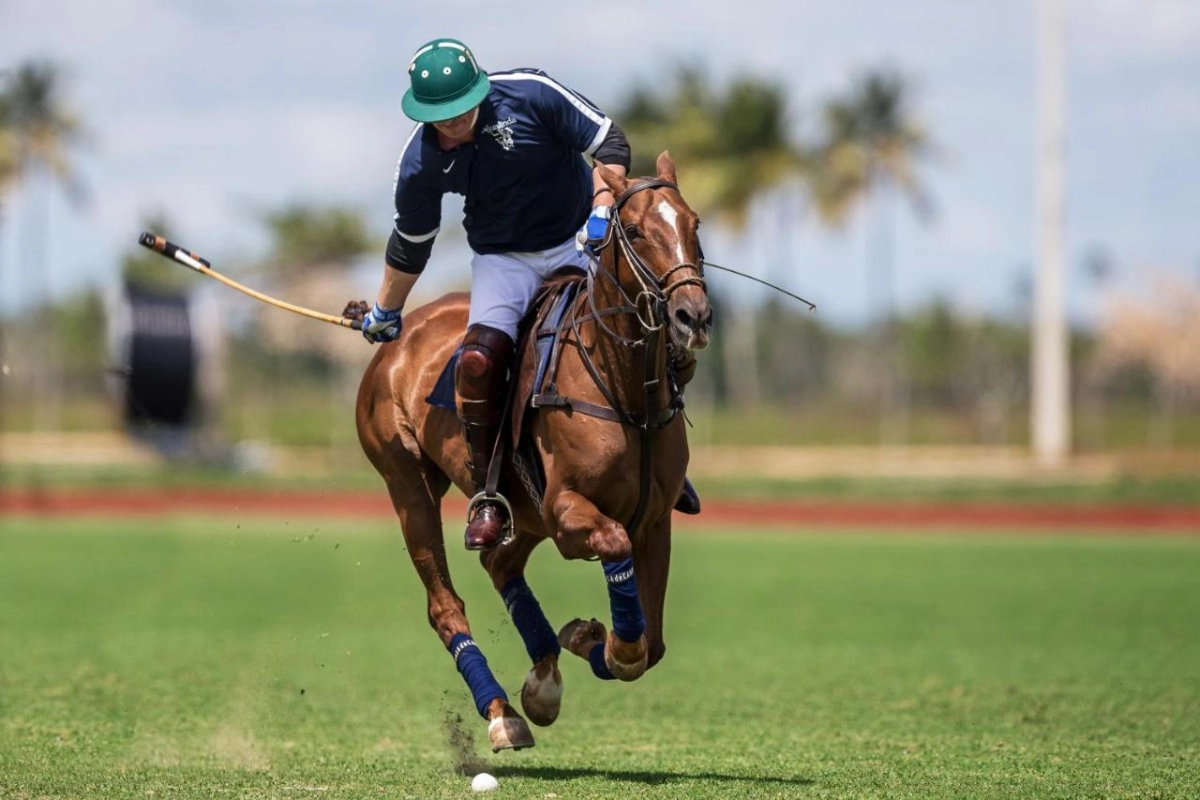 Casa de Campo Resort & Villas - Hotel Photo 48