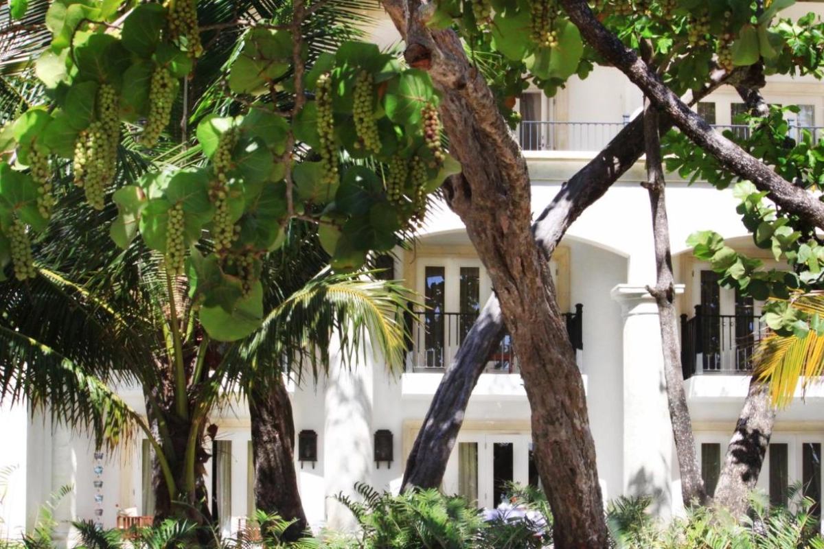 Casa Colonial Beach & Spa - Hotel Photo 22