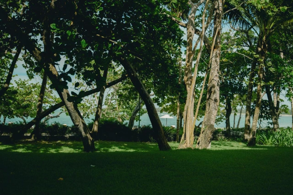 Casa Colonial Beach & Spa - Hotel Photo 26