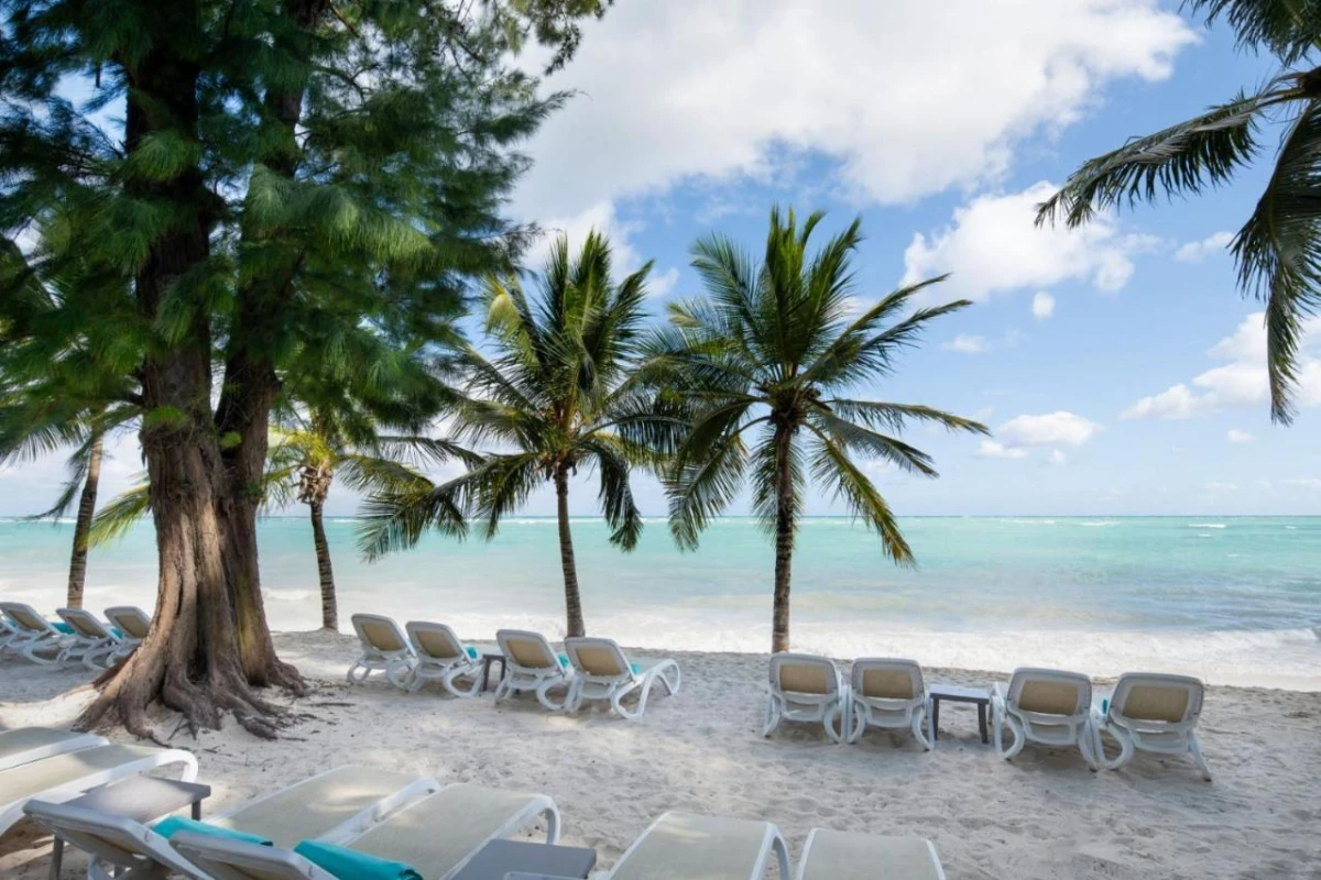 Impressive Punta Cana - Hotel Photo 6