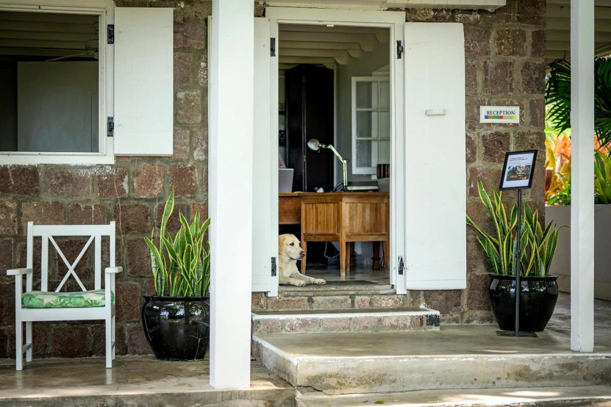 Montpelier Plantation - Hotel Photo 7