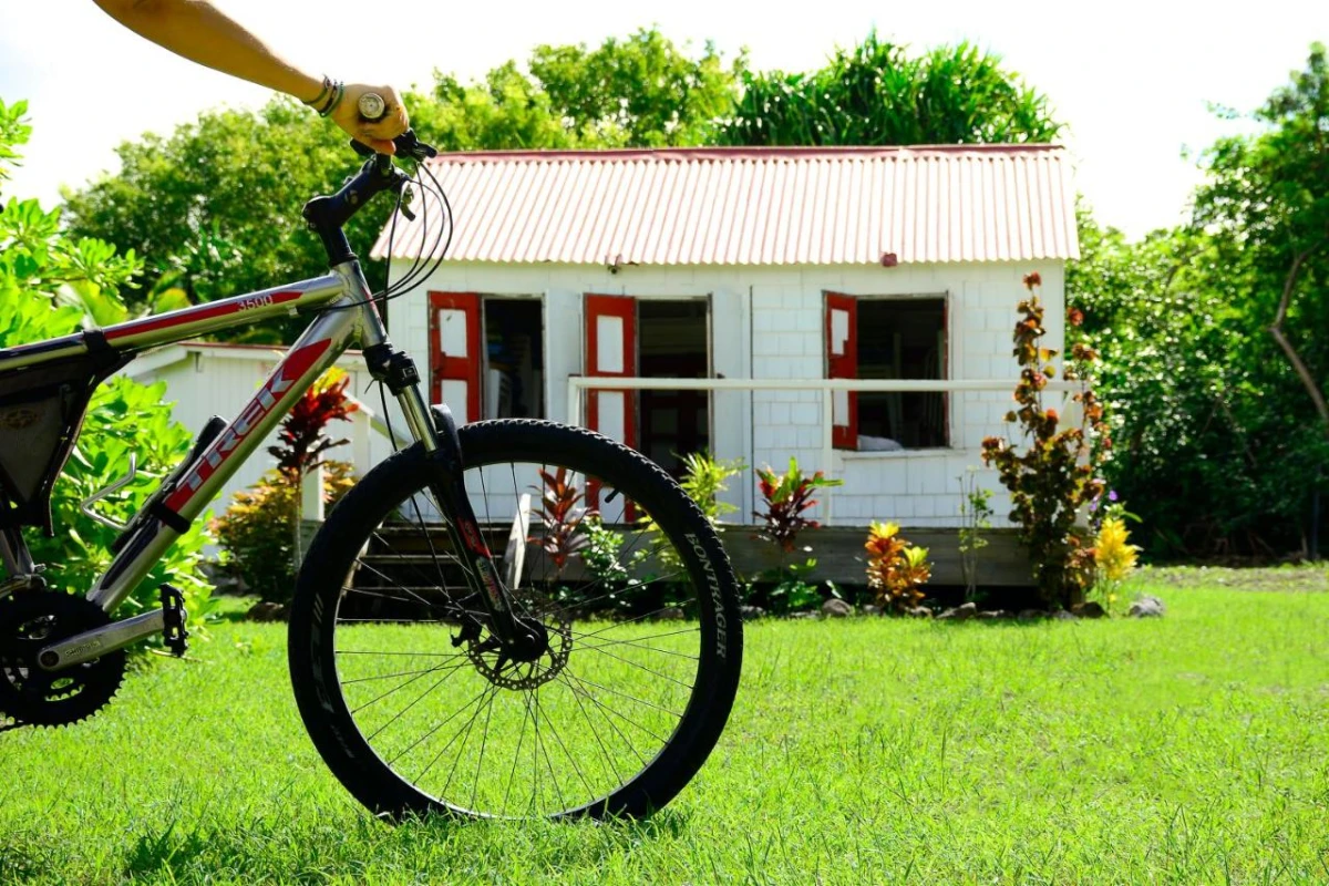 Montpelier Plantation - Hotel Photo 36