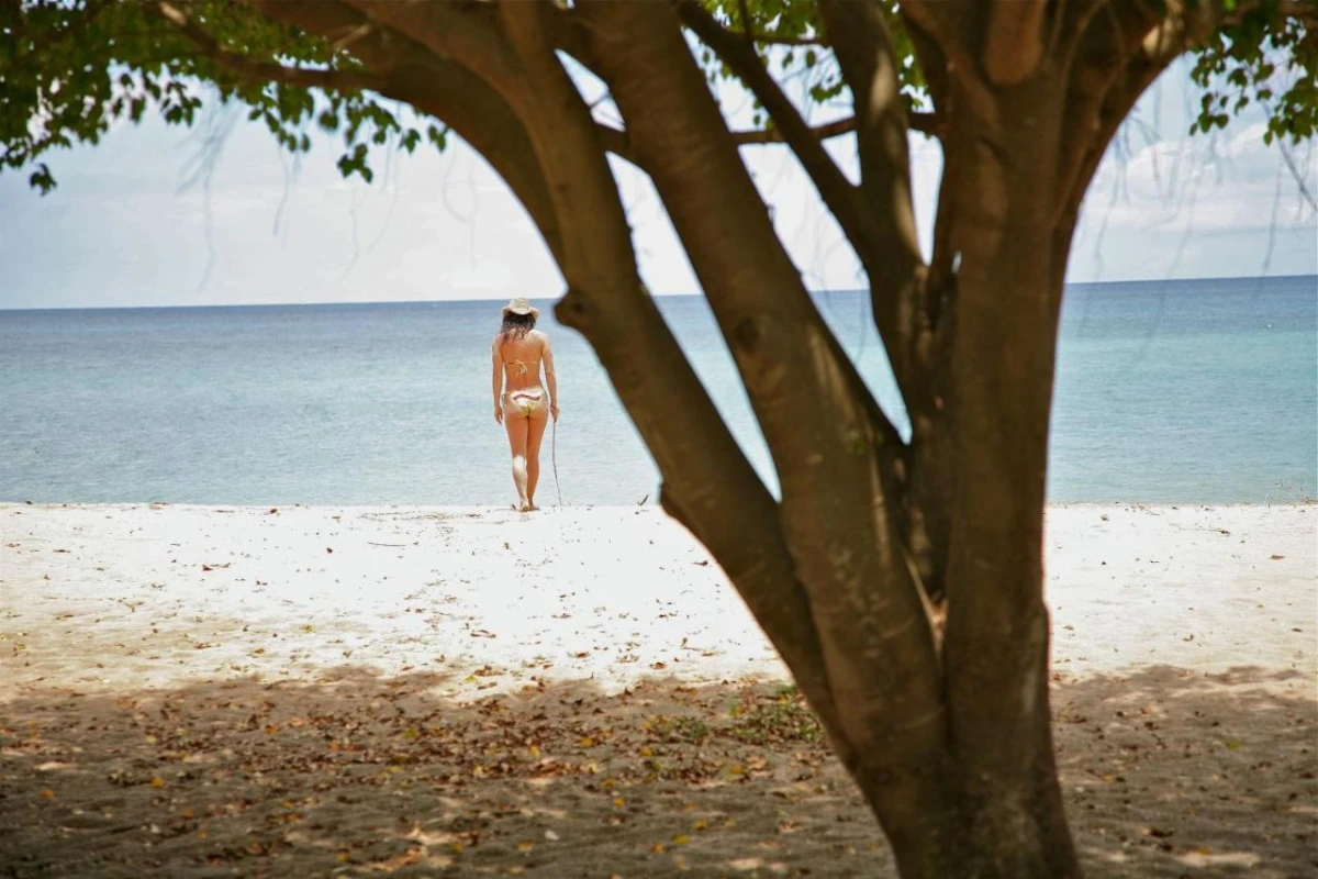 Montpelier Plantation - Hotel Photo 41