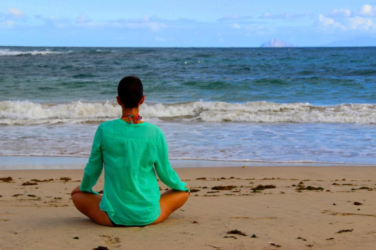 Montpelier Plantation - Hotel Photo 44