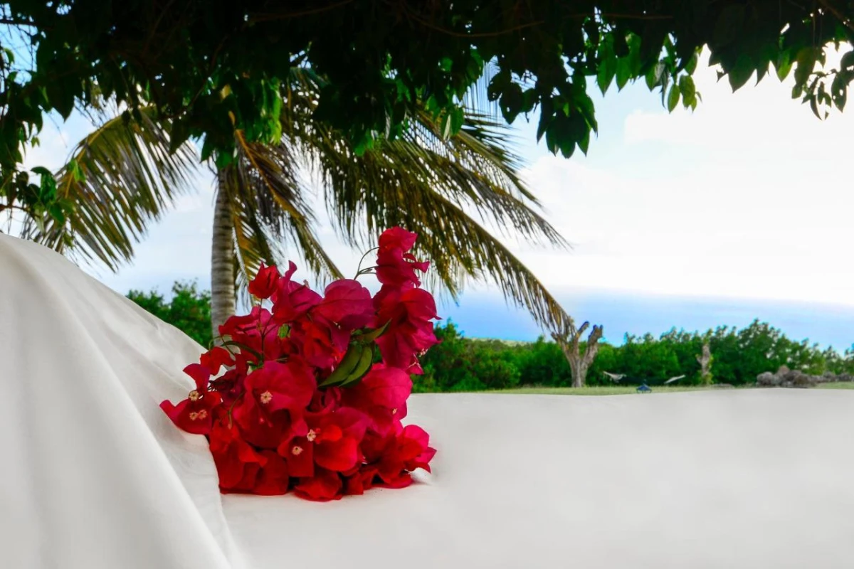 Montpelier Plantation - Hotel Photo 46