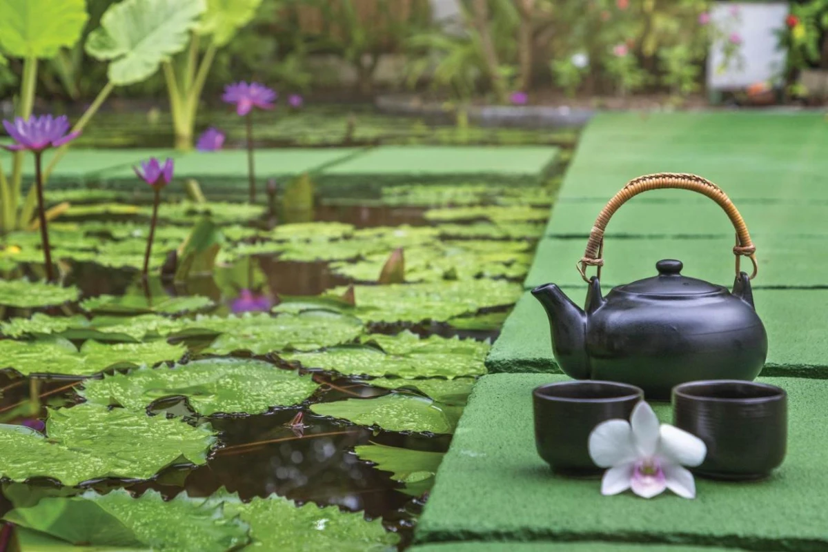 OBLU Nature Helengeli by Sentido - Hotel Photo 12