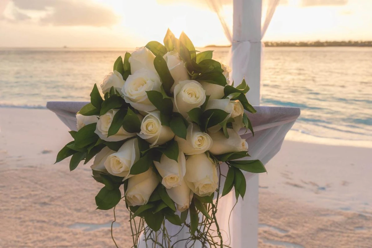 OBLU Nature Helengeli by Sentido - Hotel Photo 18