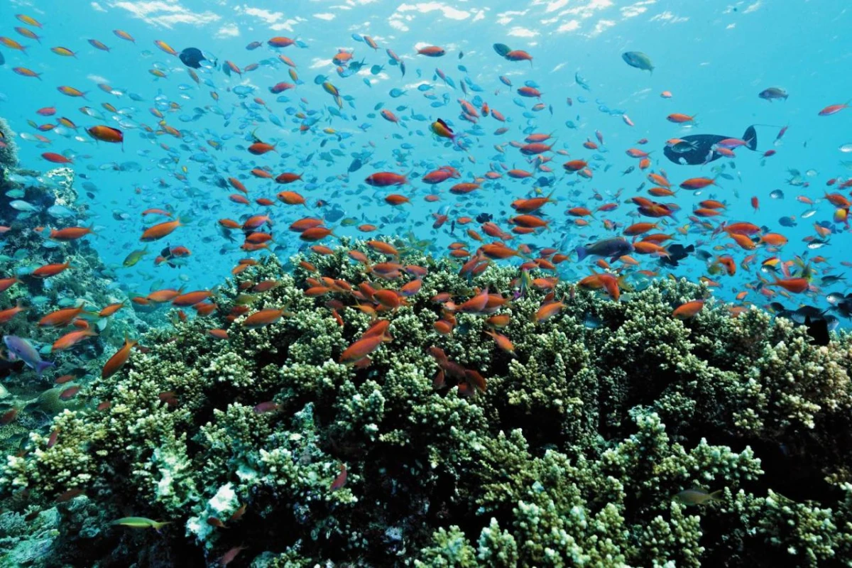 OBLU Nature Helengeli by Sentido - Hotel Photo 21