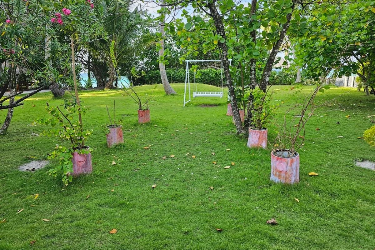 Filitheyo Island Resort - Hotel Photo 4