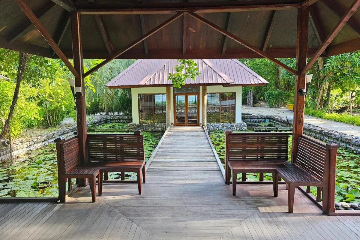 Filitheyo Island Resort - Hotel Photo 9