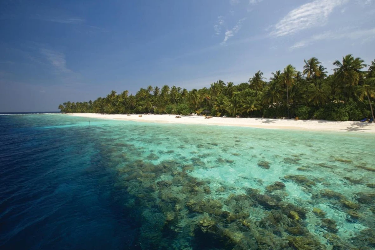 Filitheyo Island Resort - Hotel Photo 23