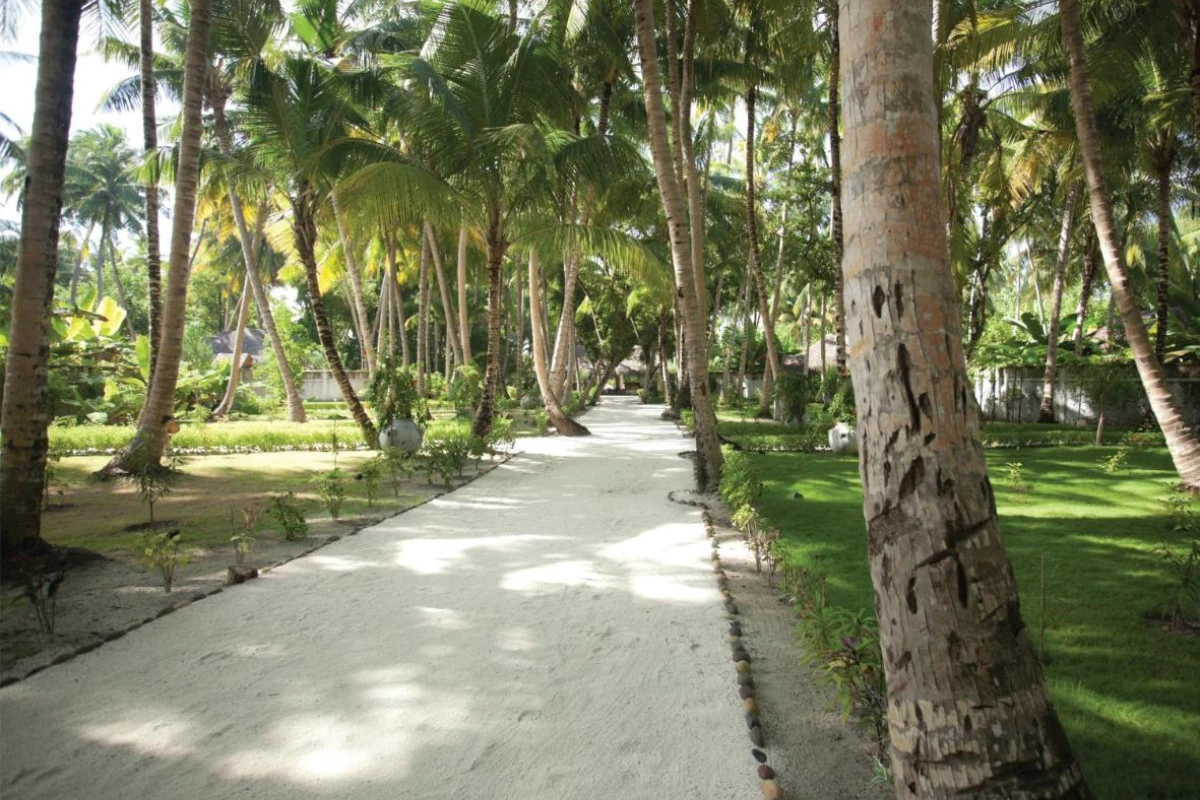 Filitheyo Island Resort - Hotel Photo 25