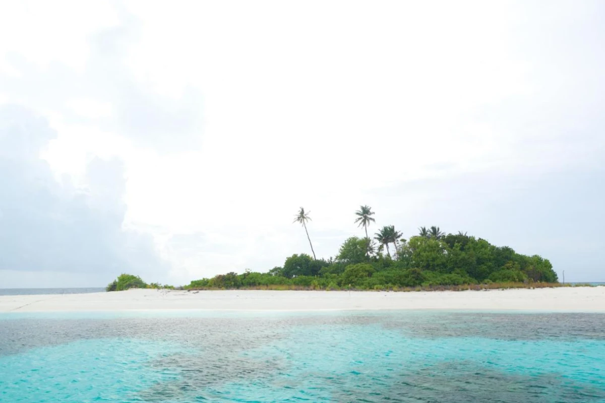 Filitheyo Island Resort - Hotel Photo 28