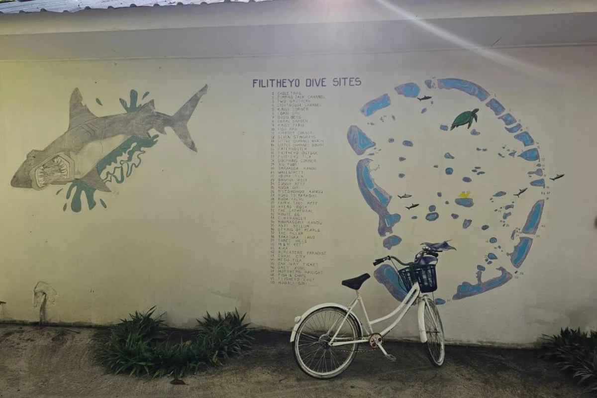 Filitheyo Island Resort - Hotel Photo 36