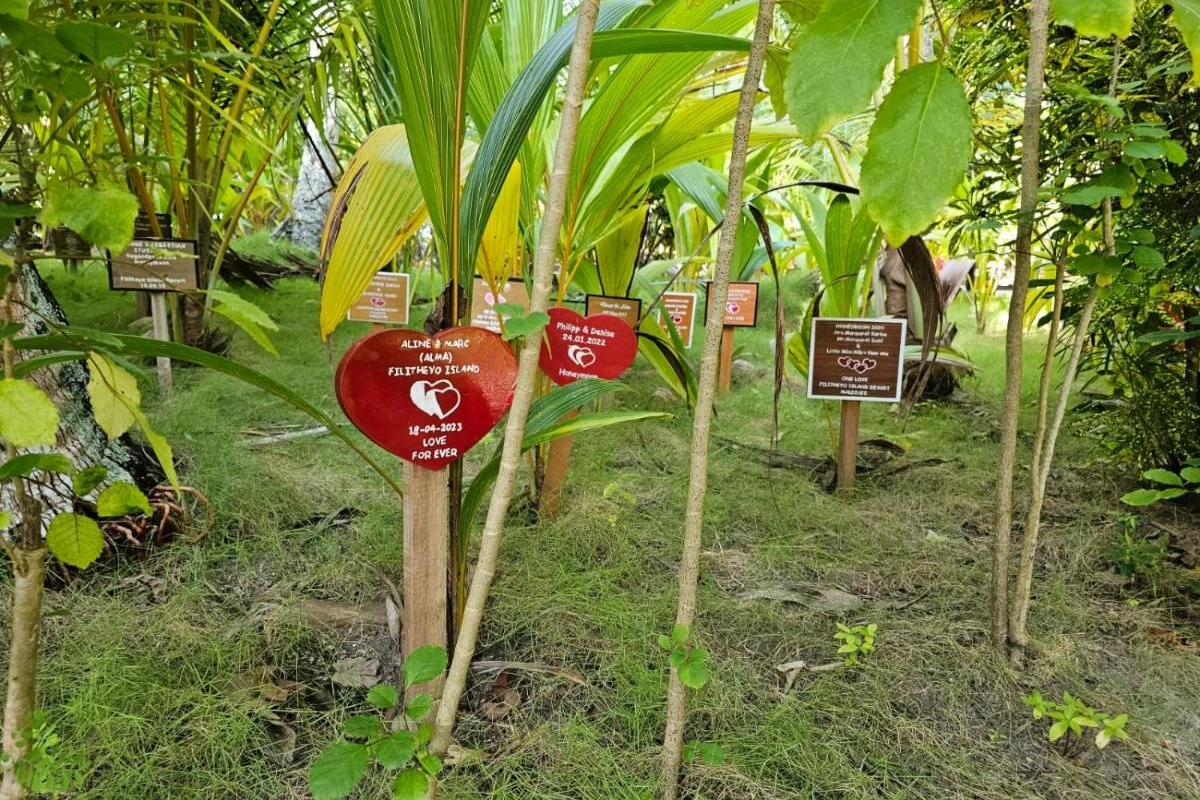 Filitheyo Island Resort - Hotel Photo 37