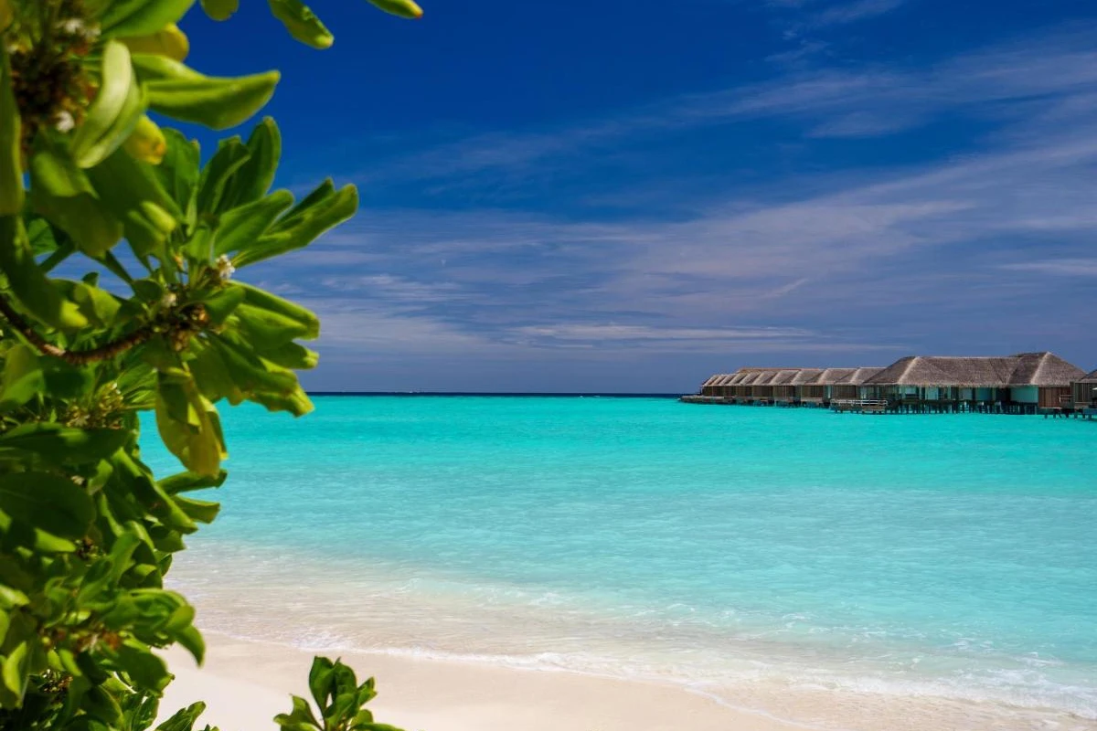 Baglioni Resort Maldives - Hotel Photo 56