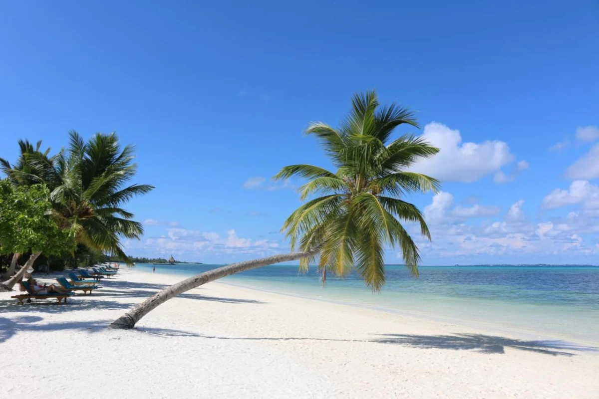 Canareef Resort Maldives - Hotel Photo 5