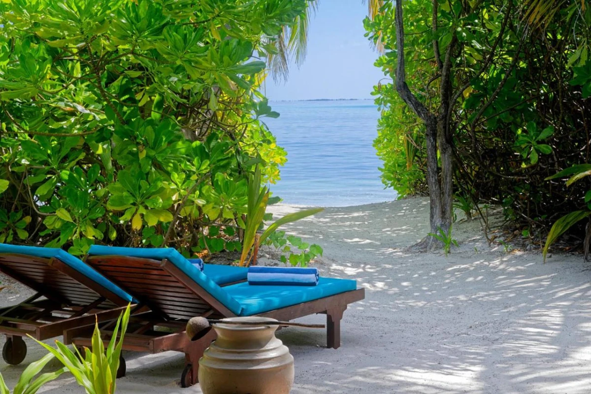 Canareef Resort Maldives - Hotel Photo 13