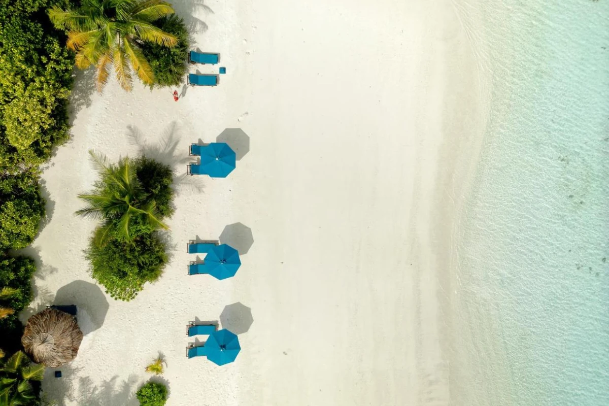 Canareef Resort Maldives - Hotel Photo 22