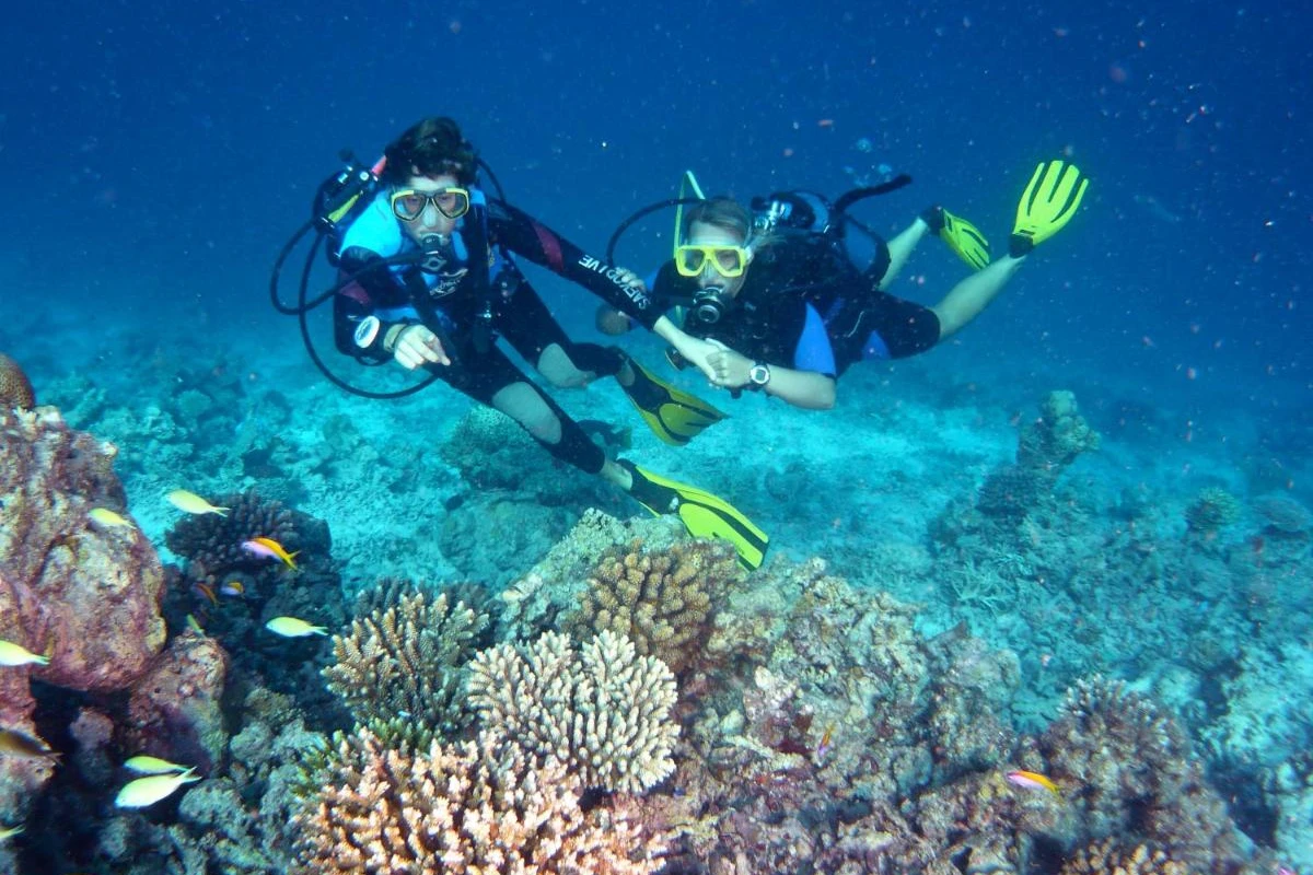 Canareef Resort Maldives - Hotel Photo 30