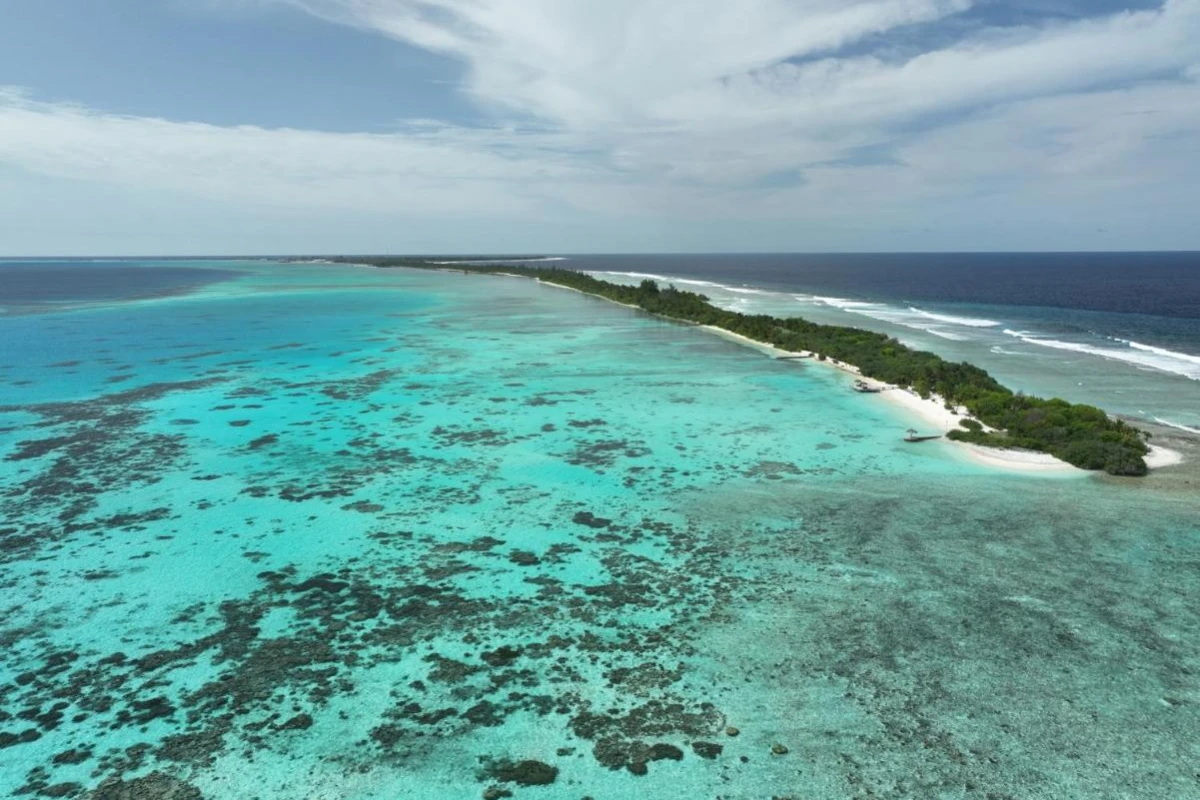 Canareef Resort Maldives - Hotel Photo 42