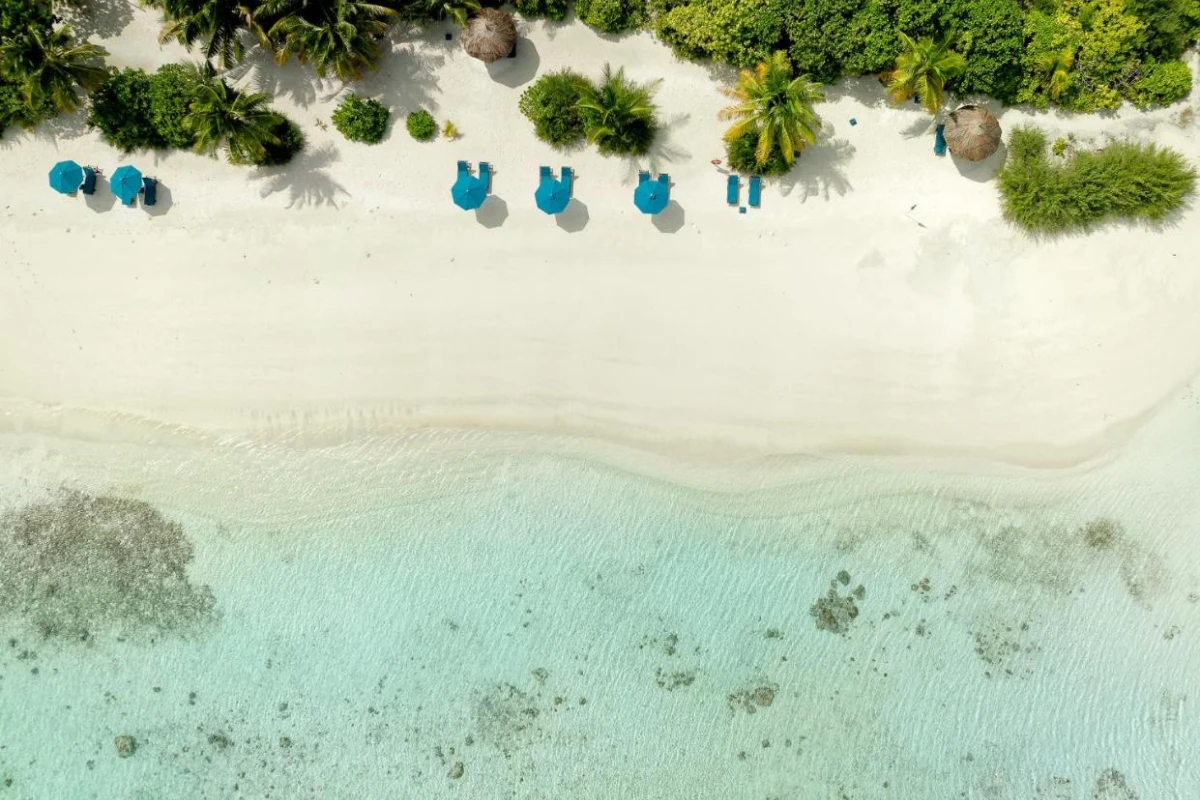 Canareef Resort Maldives - Hotel Photo 77