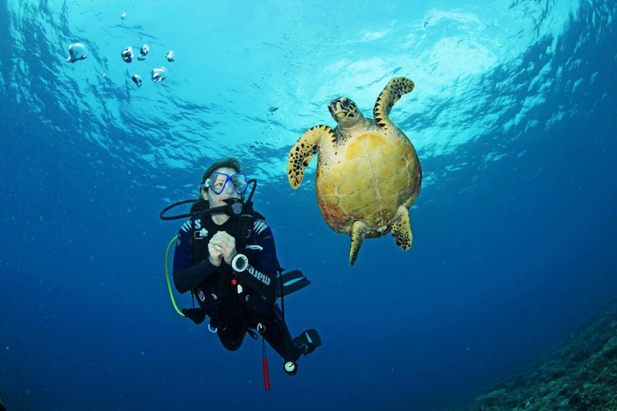 Radisson Blu Resort Maldives - Hotel Photo 43