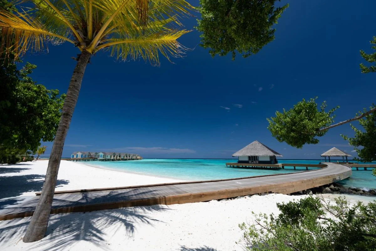 Cora Cora Maldives - Hotel Photo 17