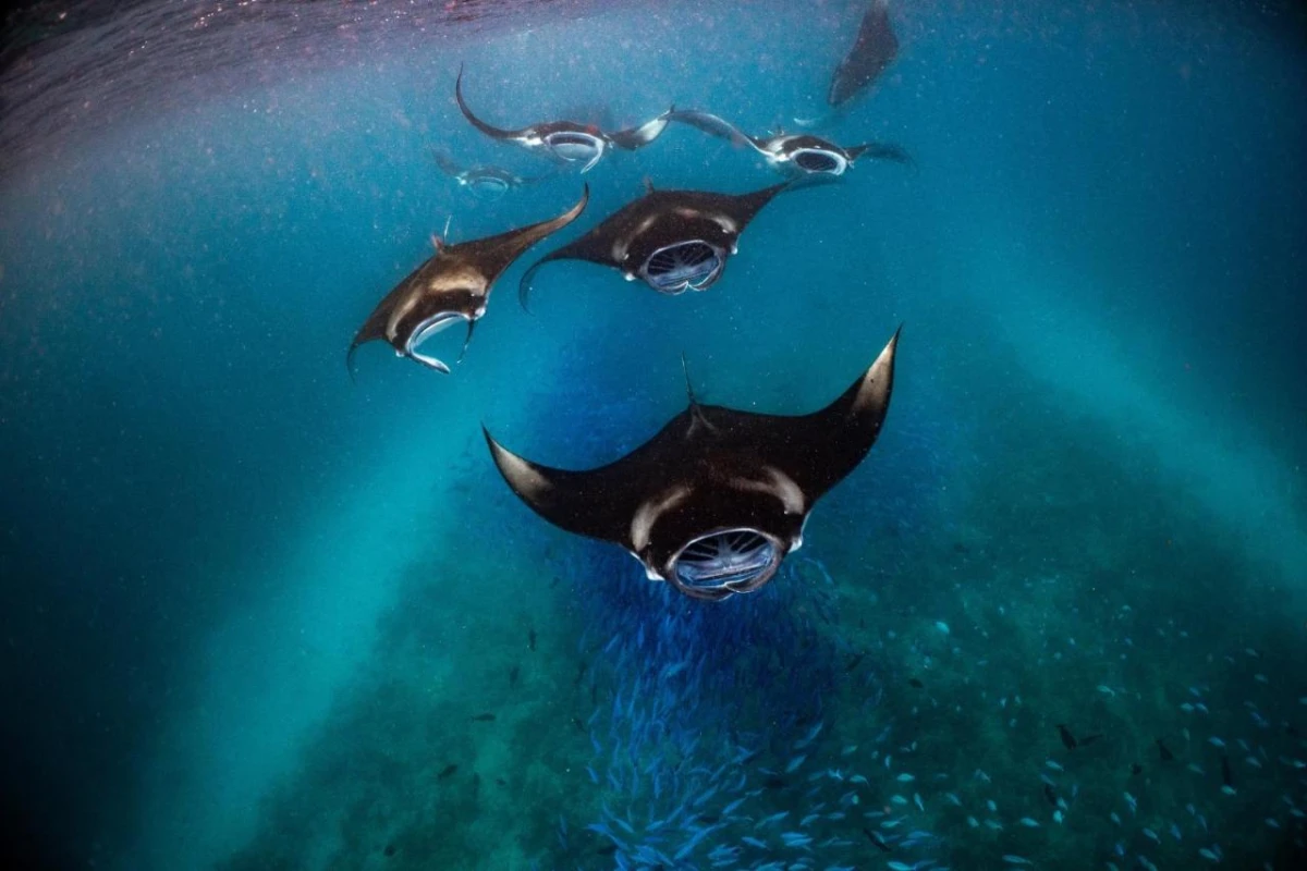 Nova Maldives - Hotel Photo 11