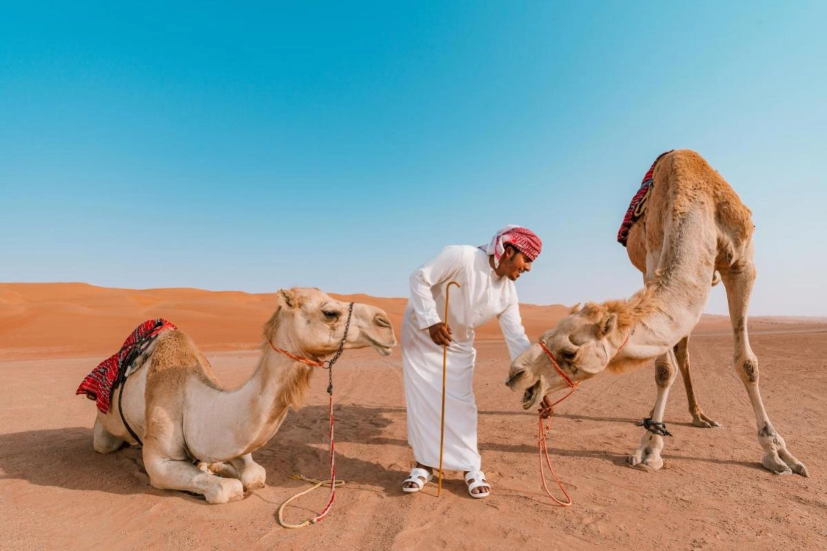 Desert Nights Resort - Hotel Photo 19