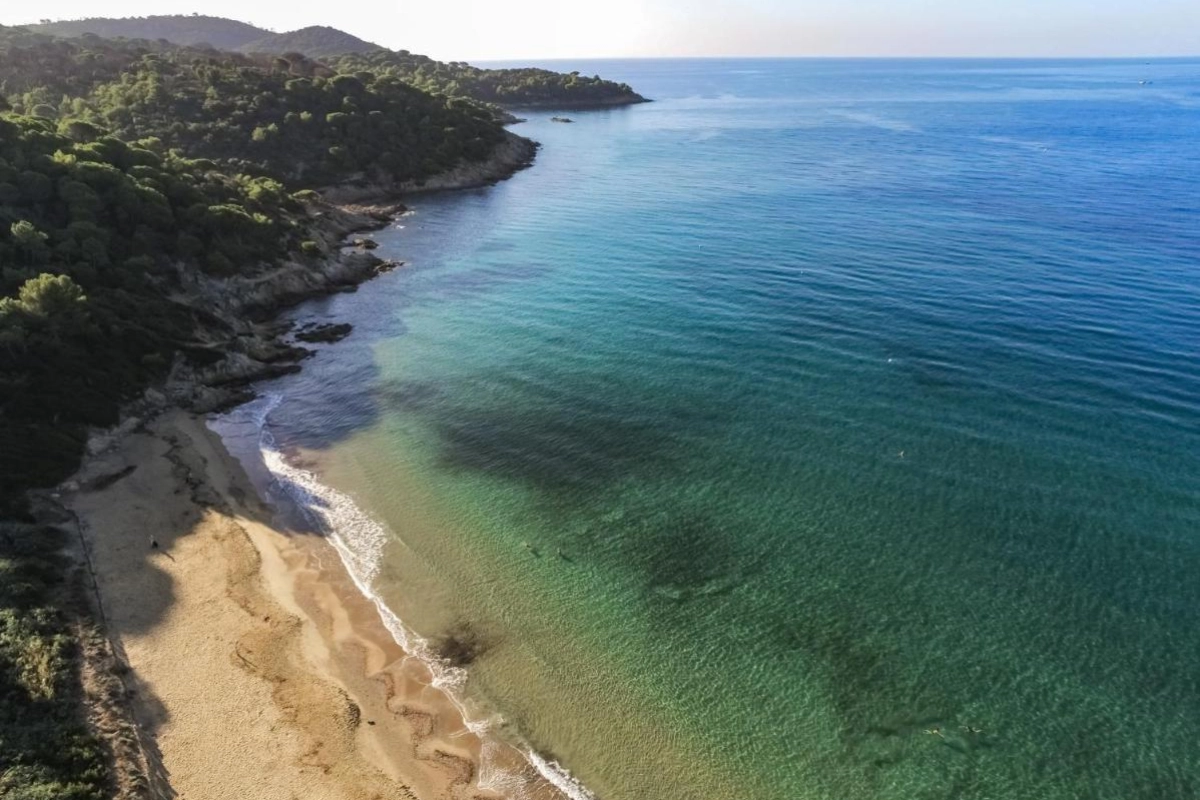 Hotel Lily of the Valley - Hotel Photo 17