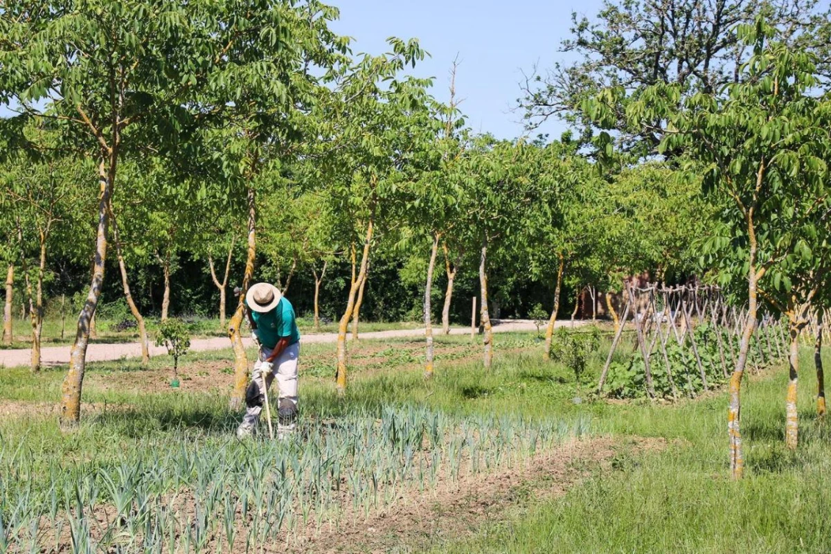 Borgo Santo Pietro - Hotel Photo 22