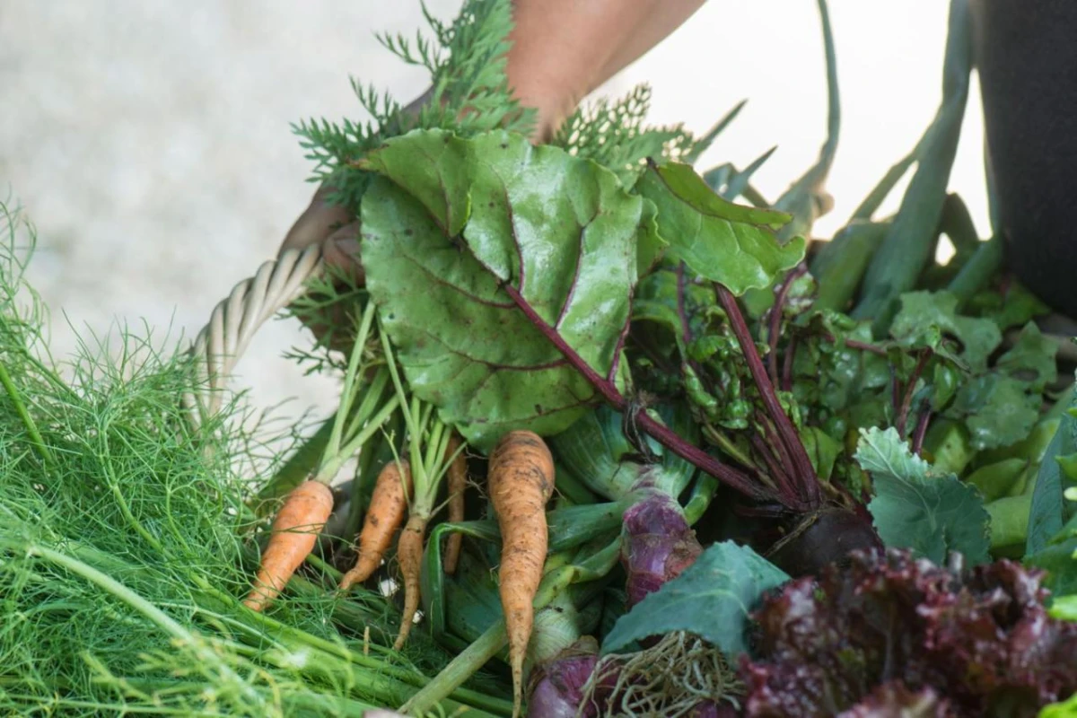 Borgo Santo Pietro - Hotel Photo 23