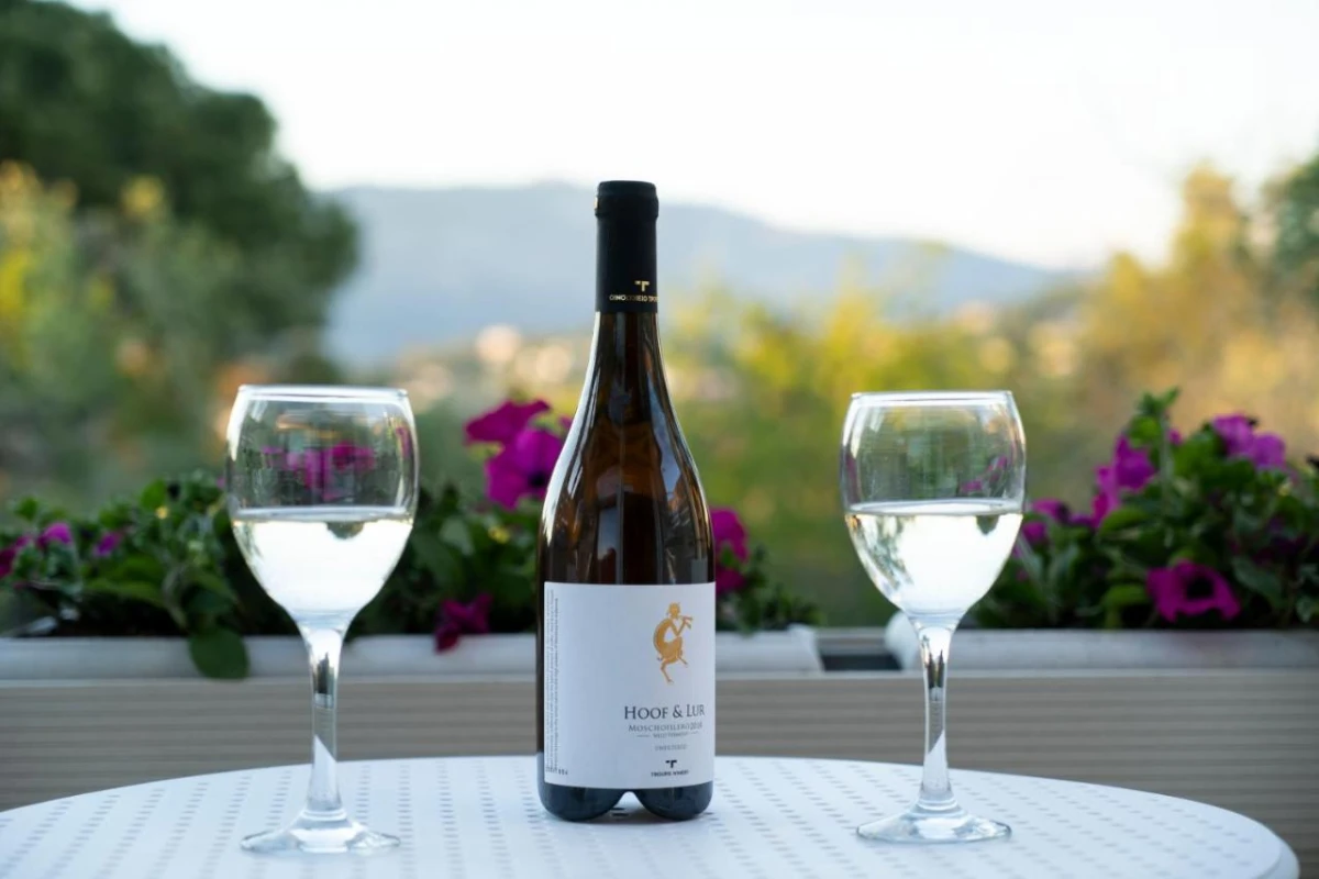 Art Hotel Debono - Hotel Photo 26