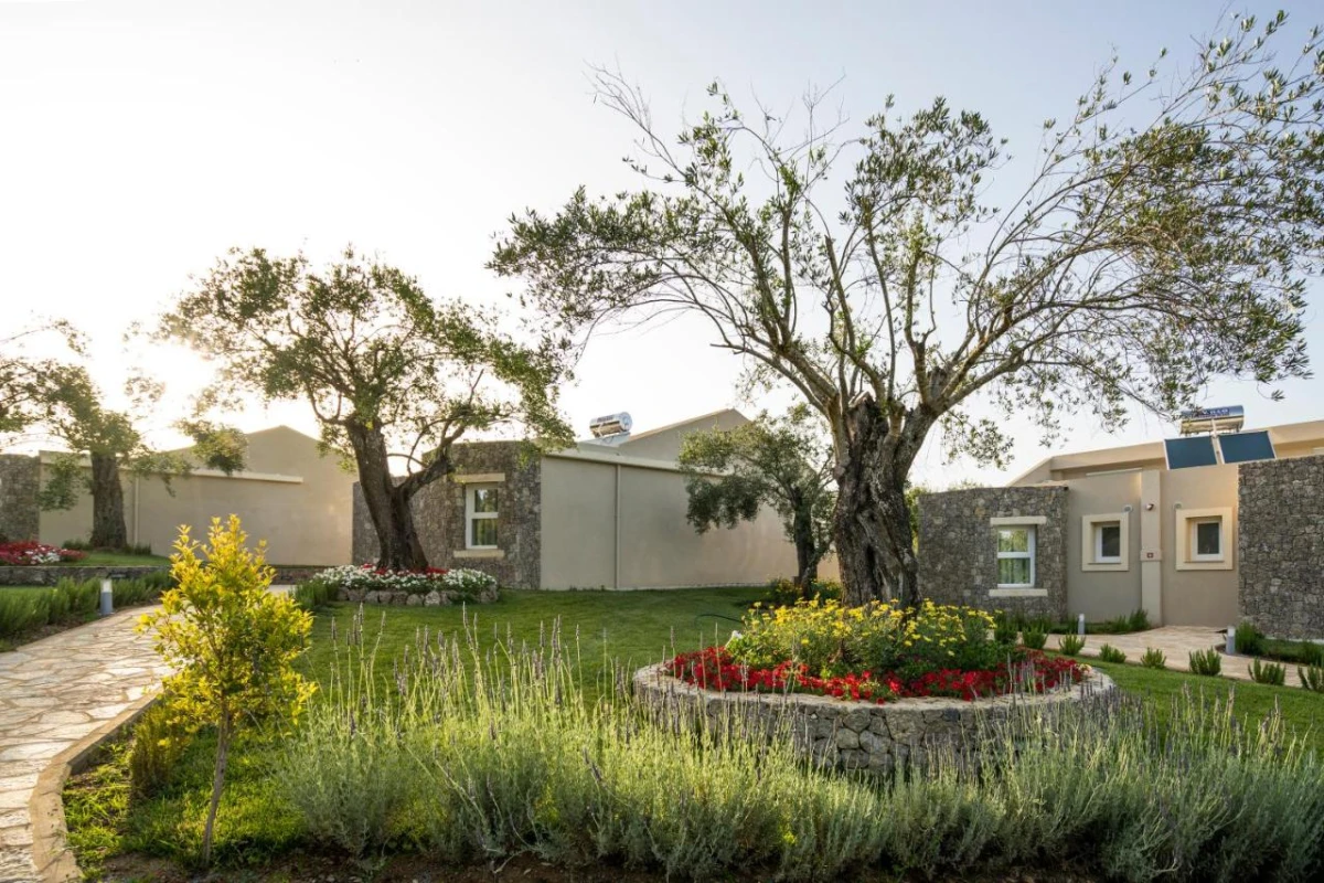 Art Hotel Debono - Hotel Photo 66