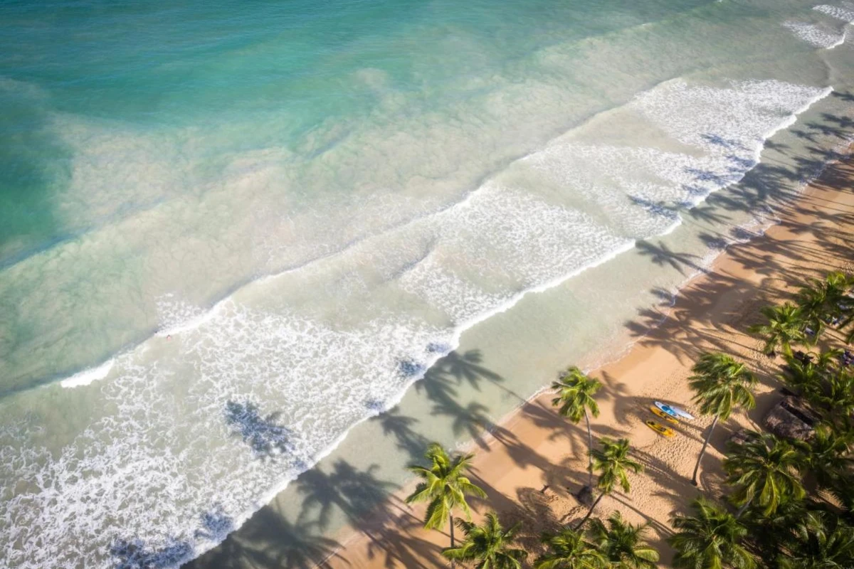 Sublime Samana - Hotel Photo 25