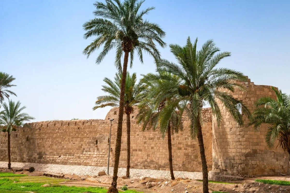 Intercontinental Aqaba Resort - Hotel Photo 46