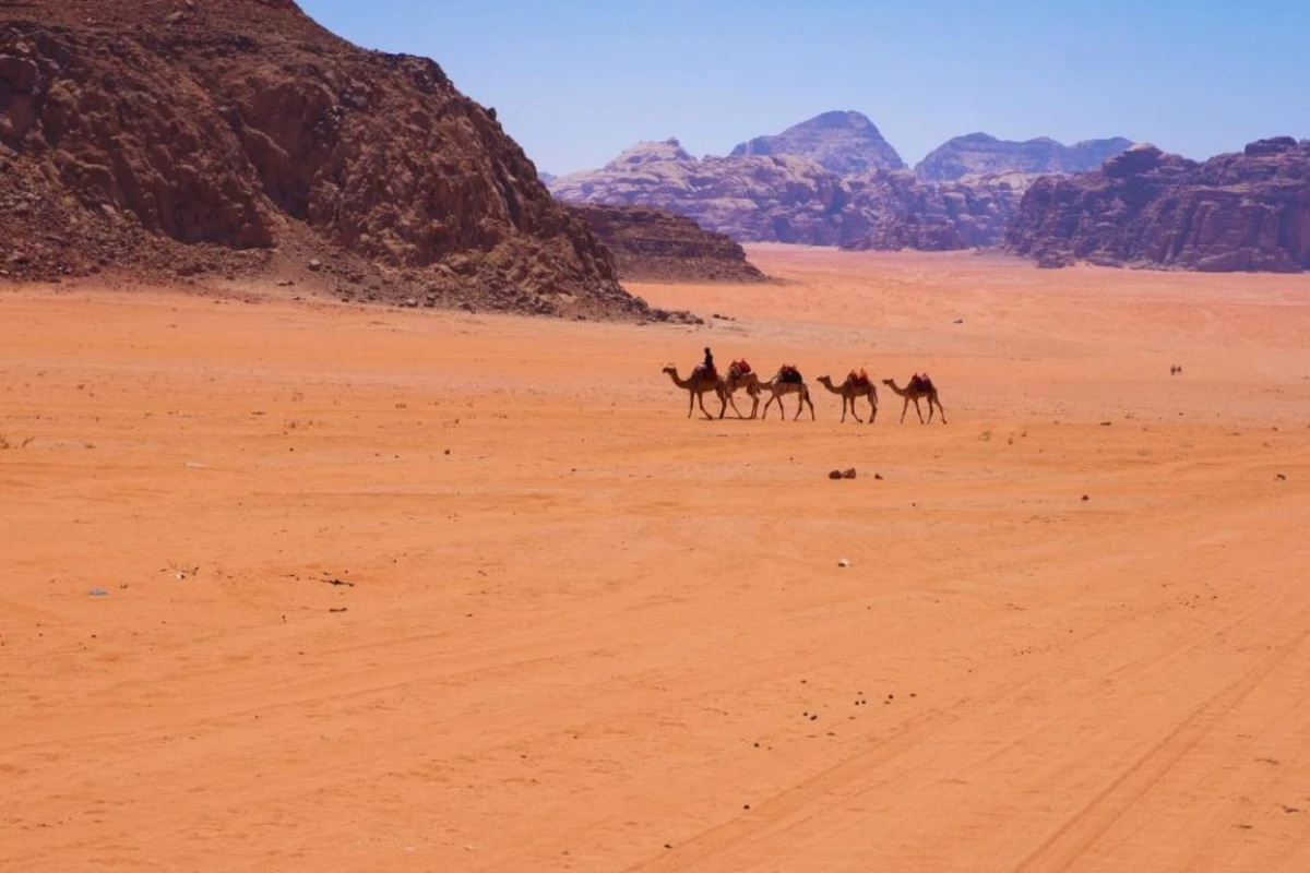 Intercontinental Aqaba Resort - Hotel Photo 47